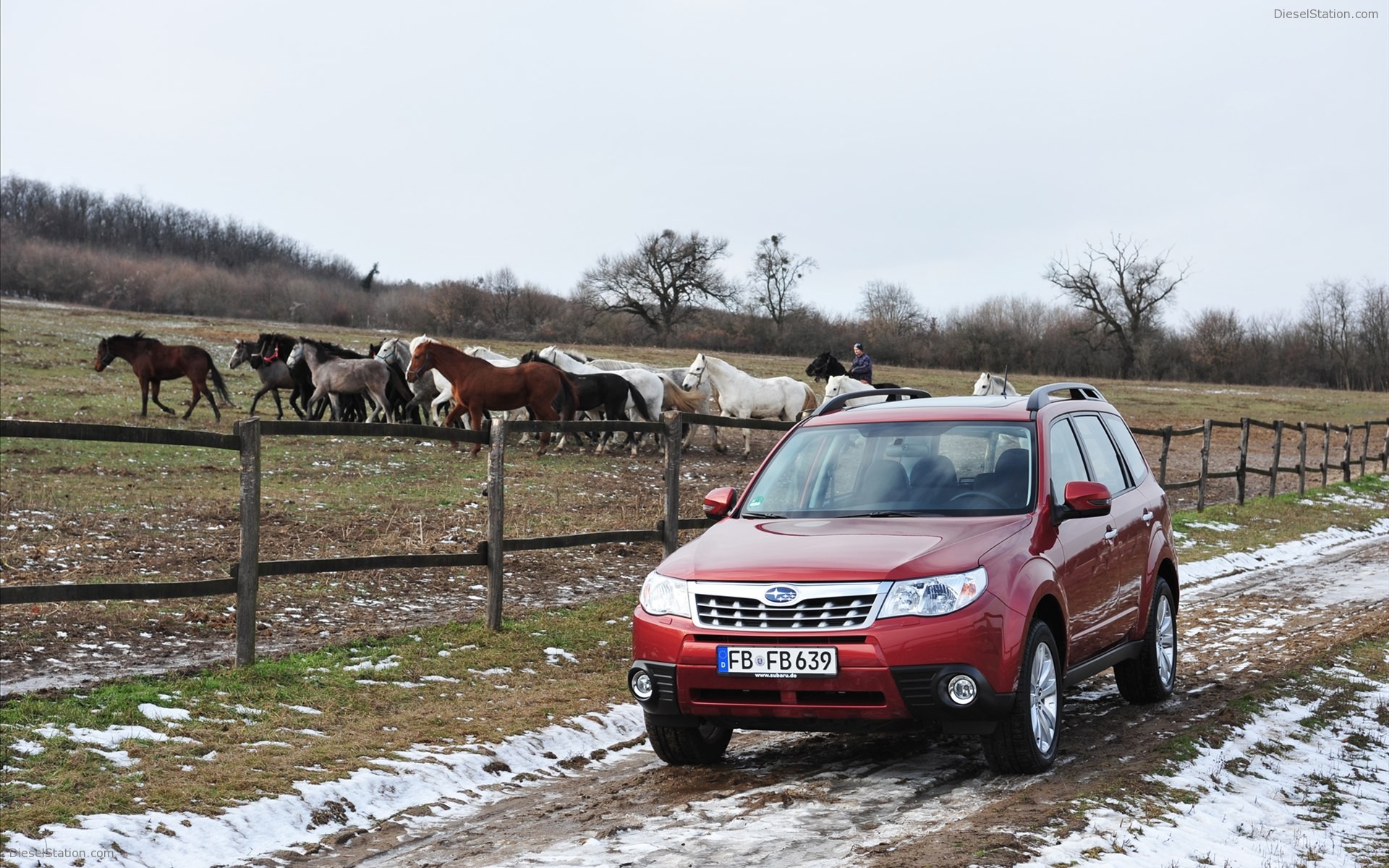Subaru Forester 2011