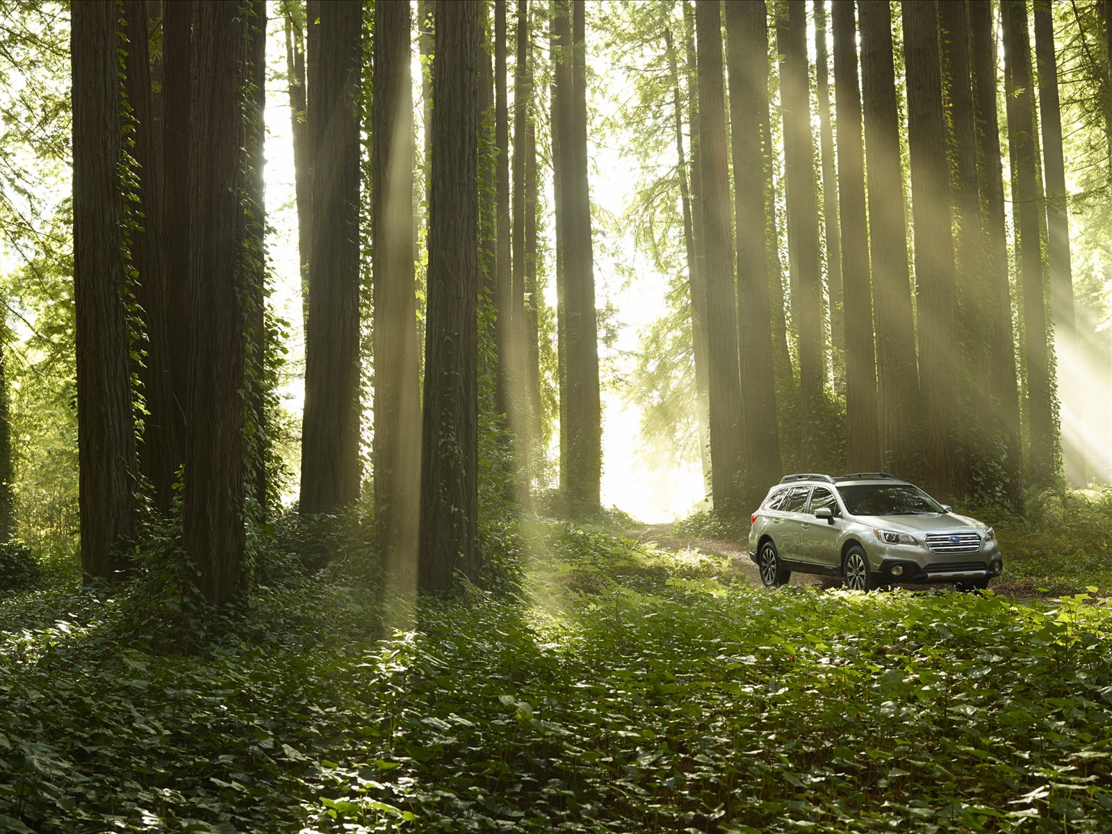 Subaru Outback 2015