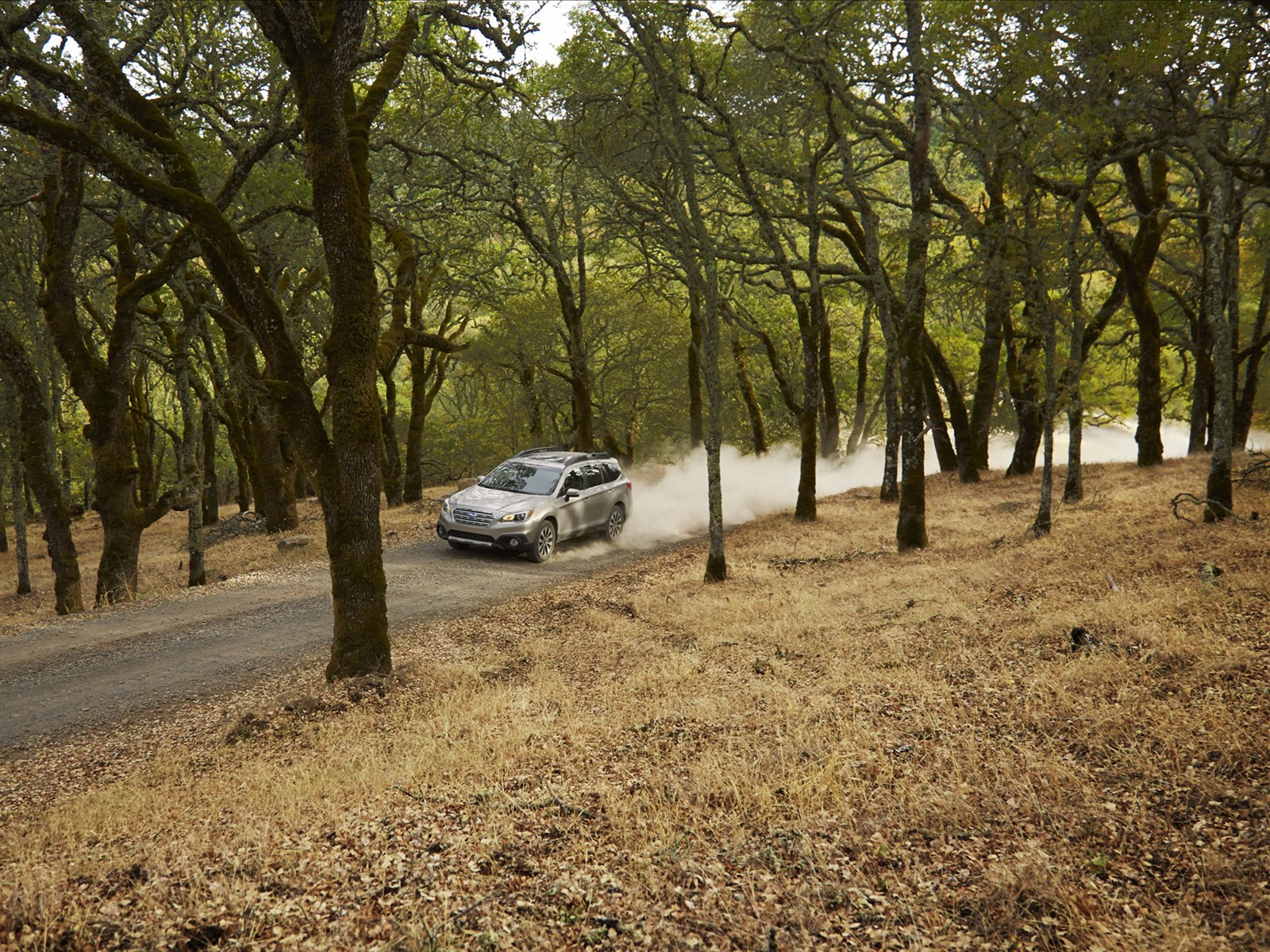 Subaru Outback 2015