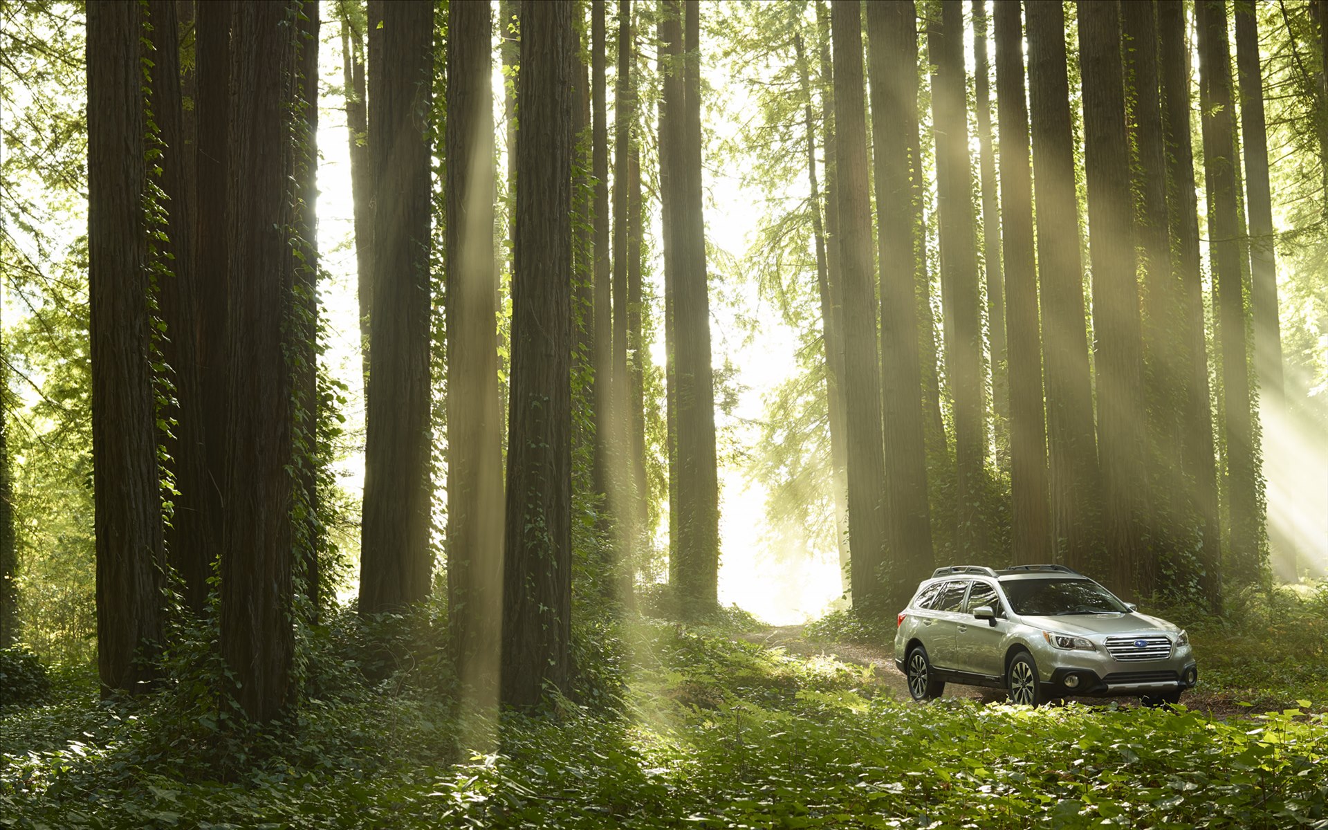 Subaru Outback 2015