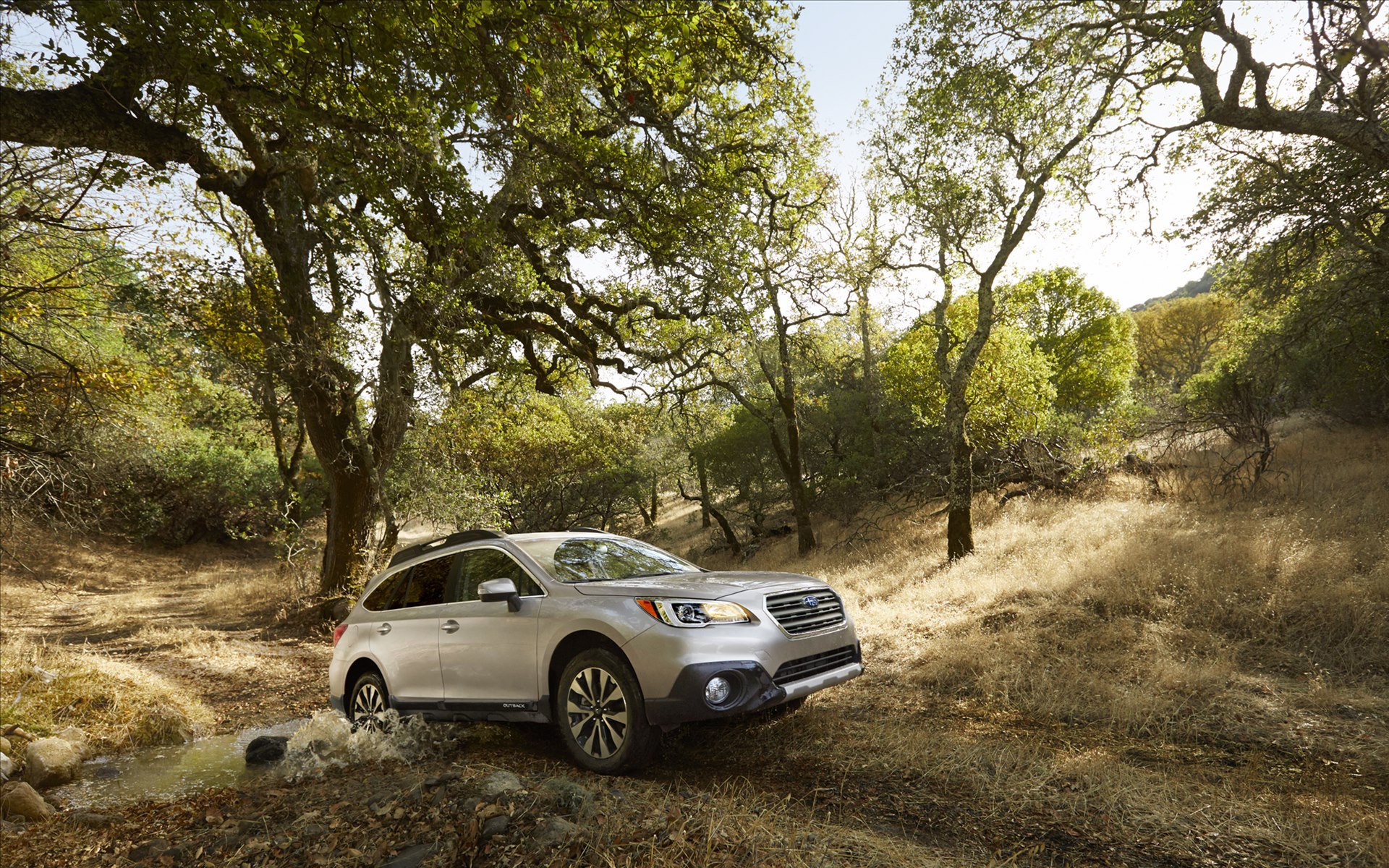 Subaru Outback 2015
