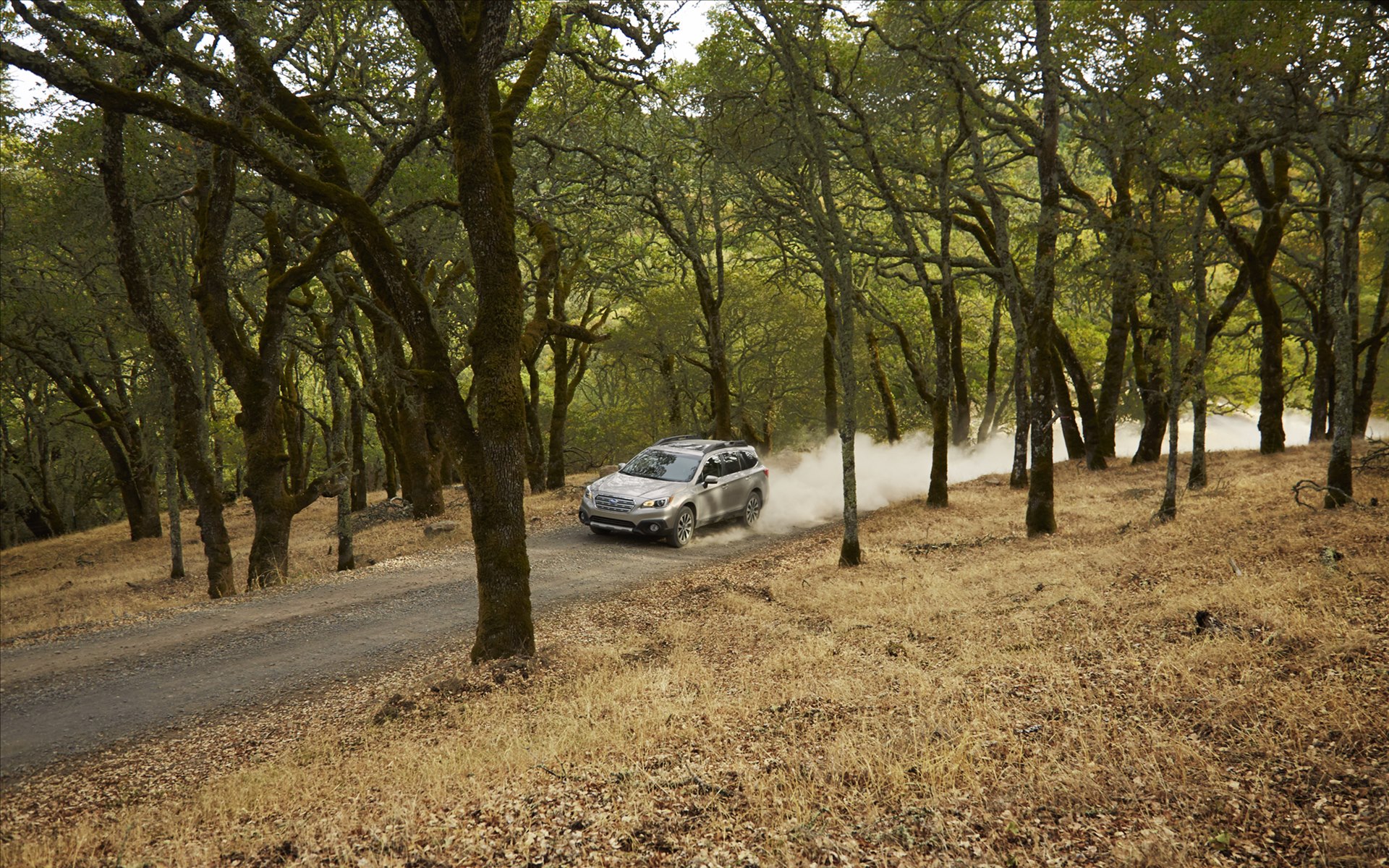 Subaru Outback 2015