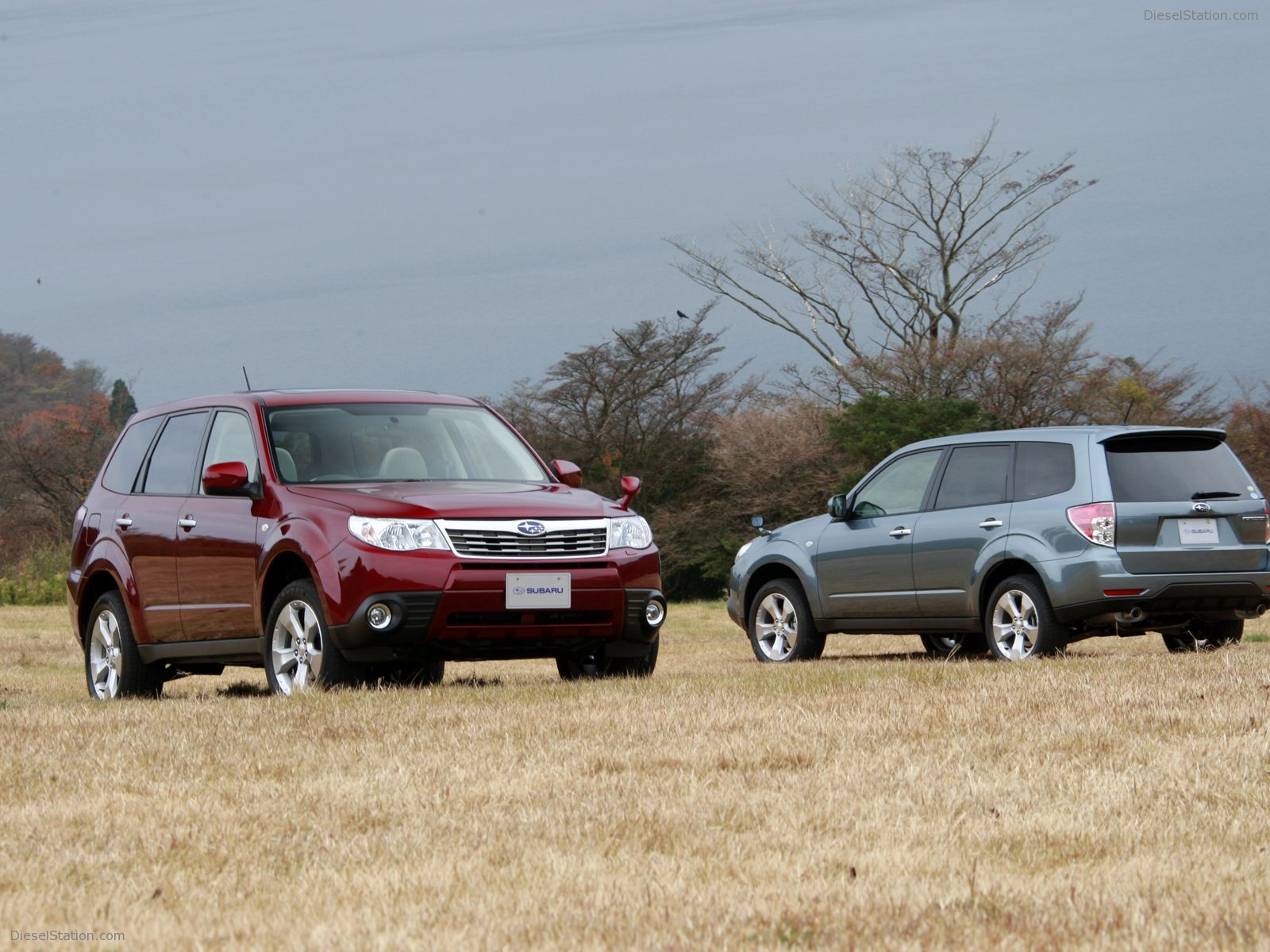 Subaru Forester 2009 Wallpapers