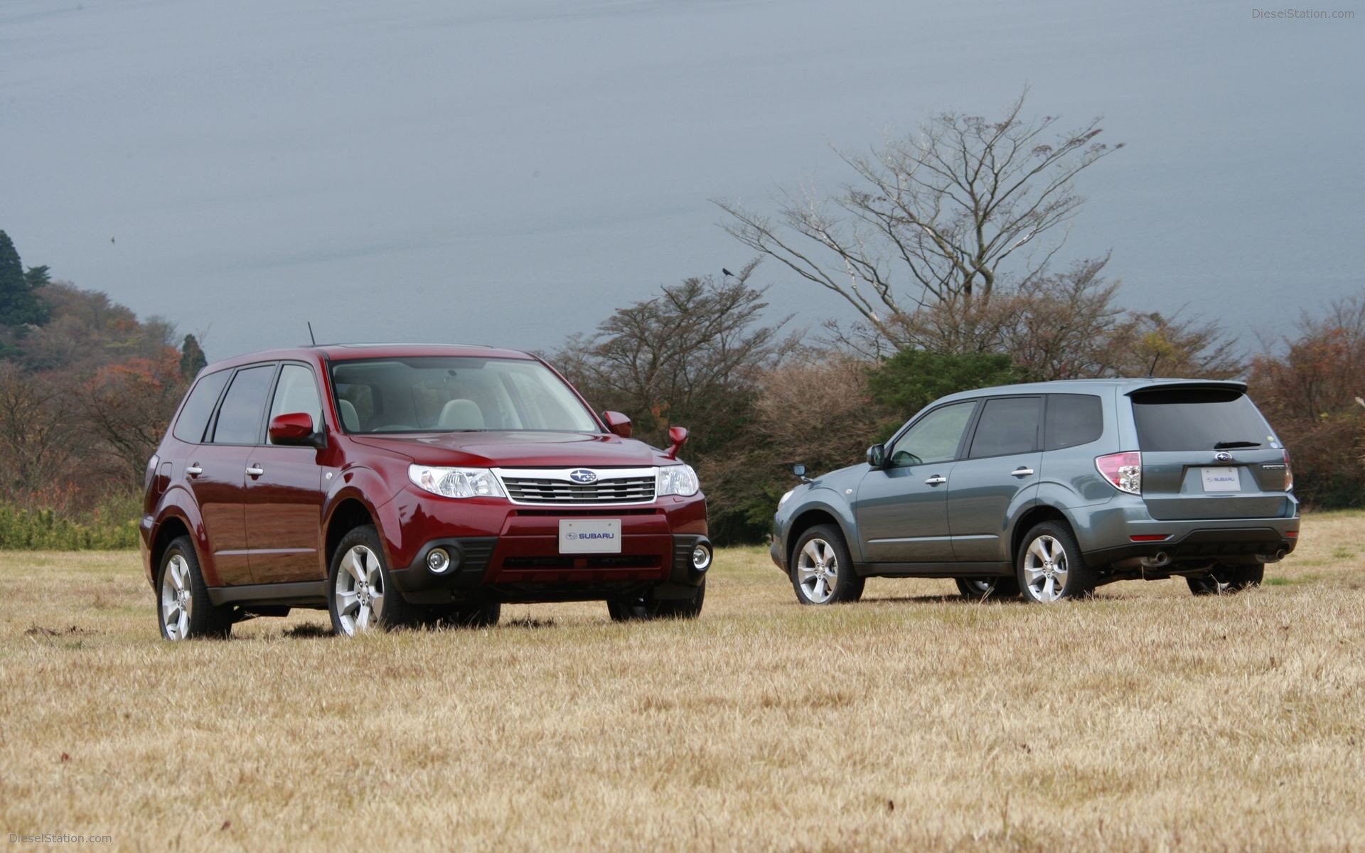 Subaru Forester 2009 Wallpapers