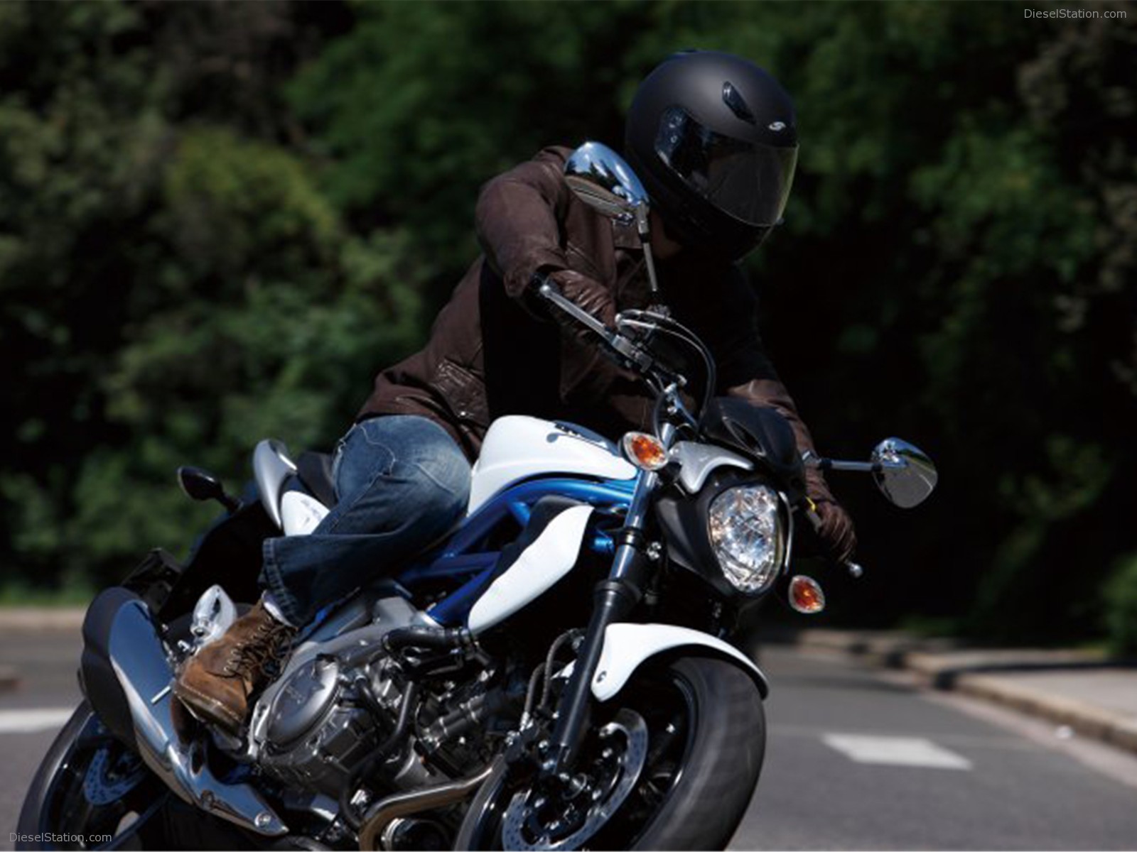 2009 Suzuki Gladius