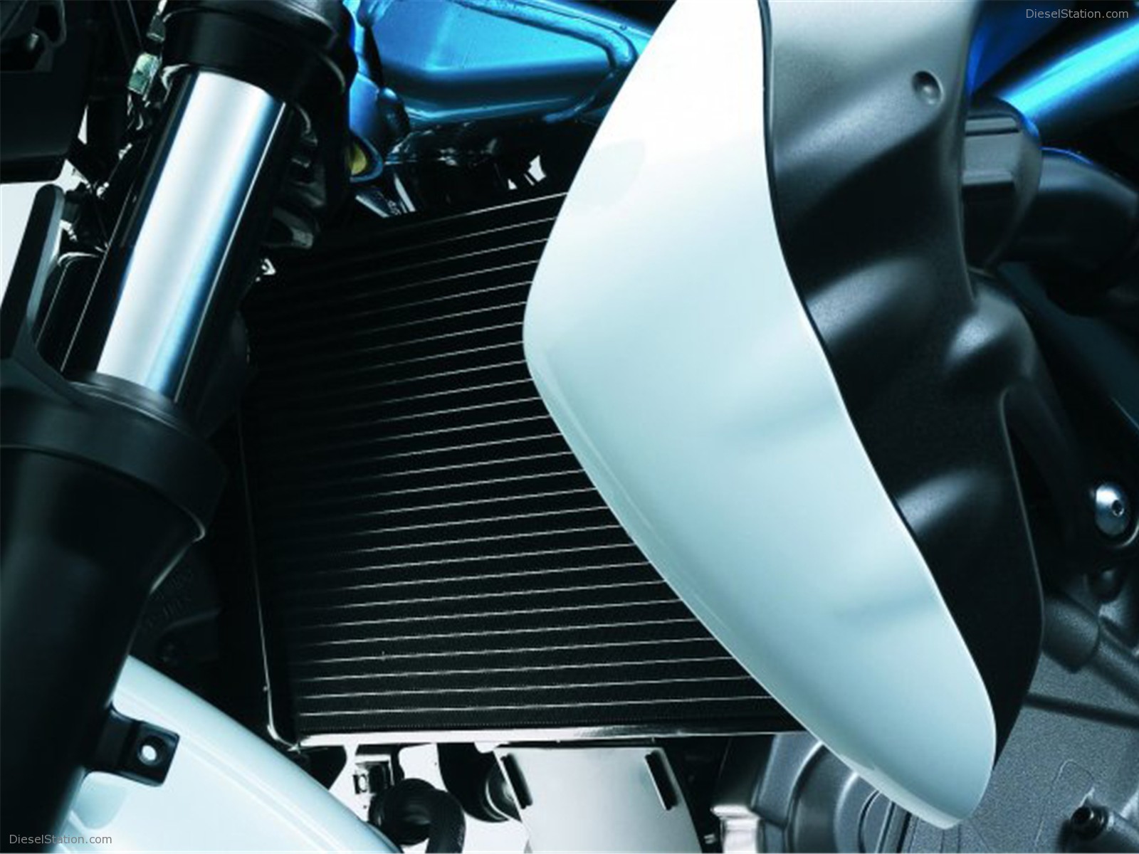 2009 Suzuki Gladius