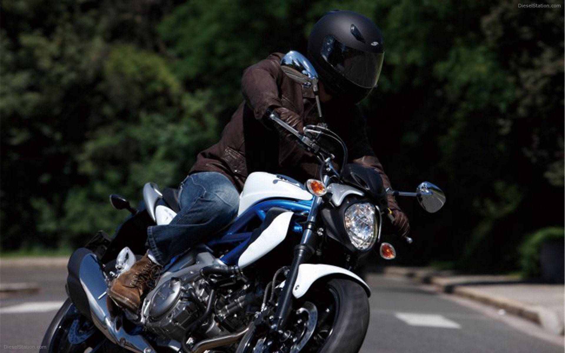 2009 Suzuki Gladius