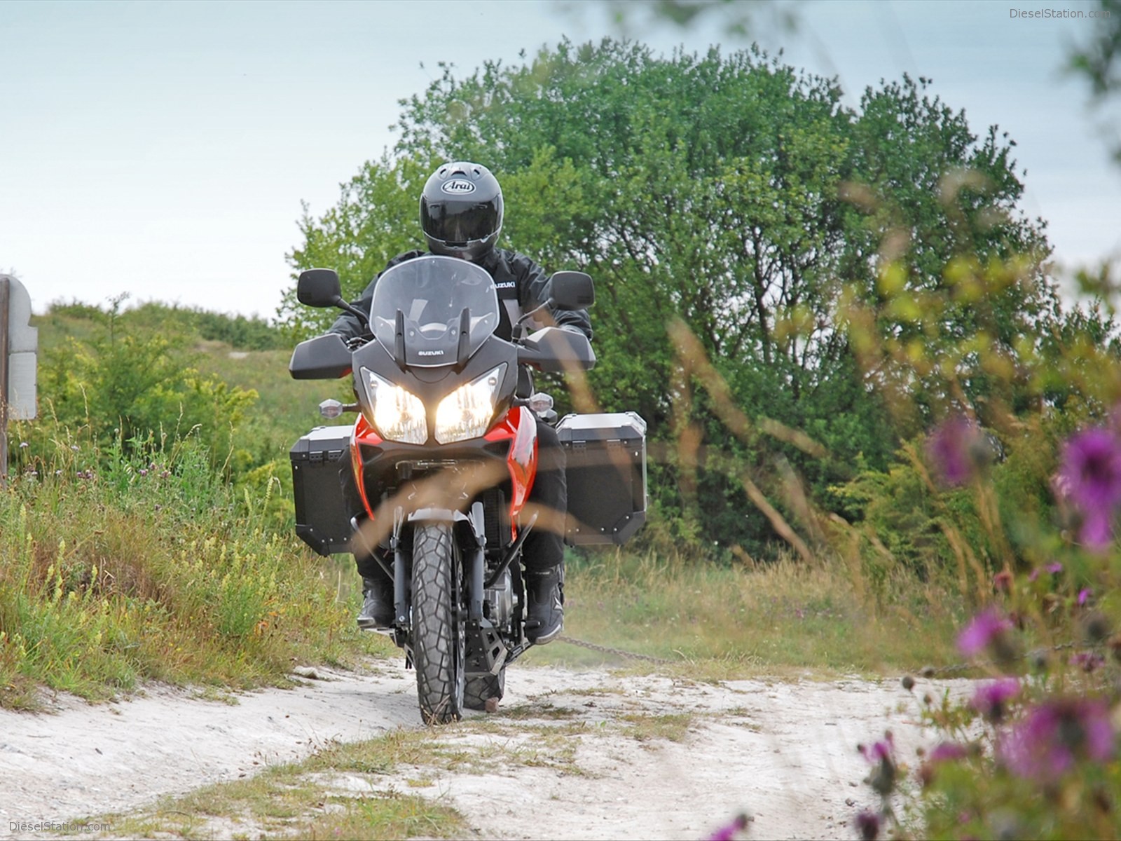 Suzuki V-Strom 650 XPEDITION 2011