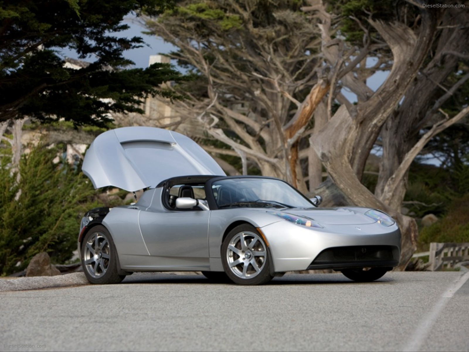 Tesla Roadster Sport