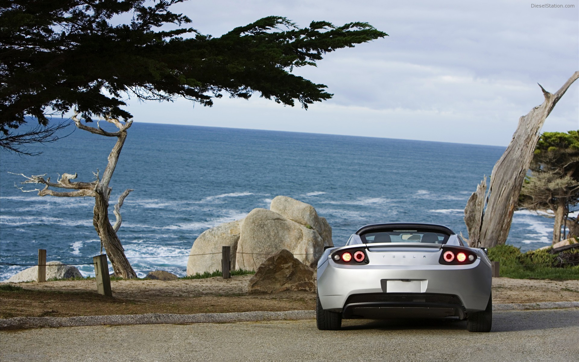 Tesla Roadster Sport