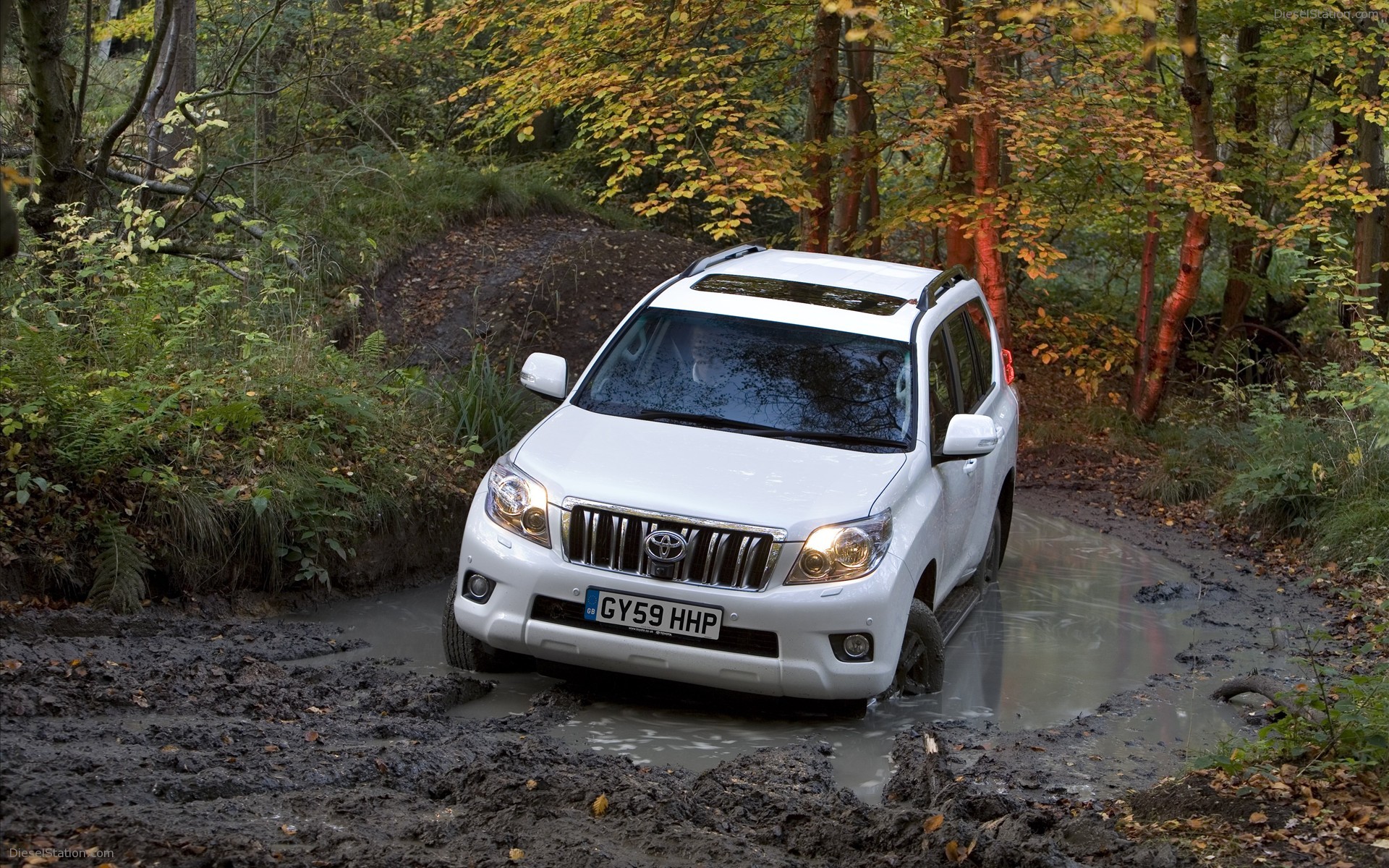 2010 Toyota Land Cruiser