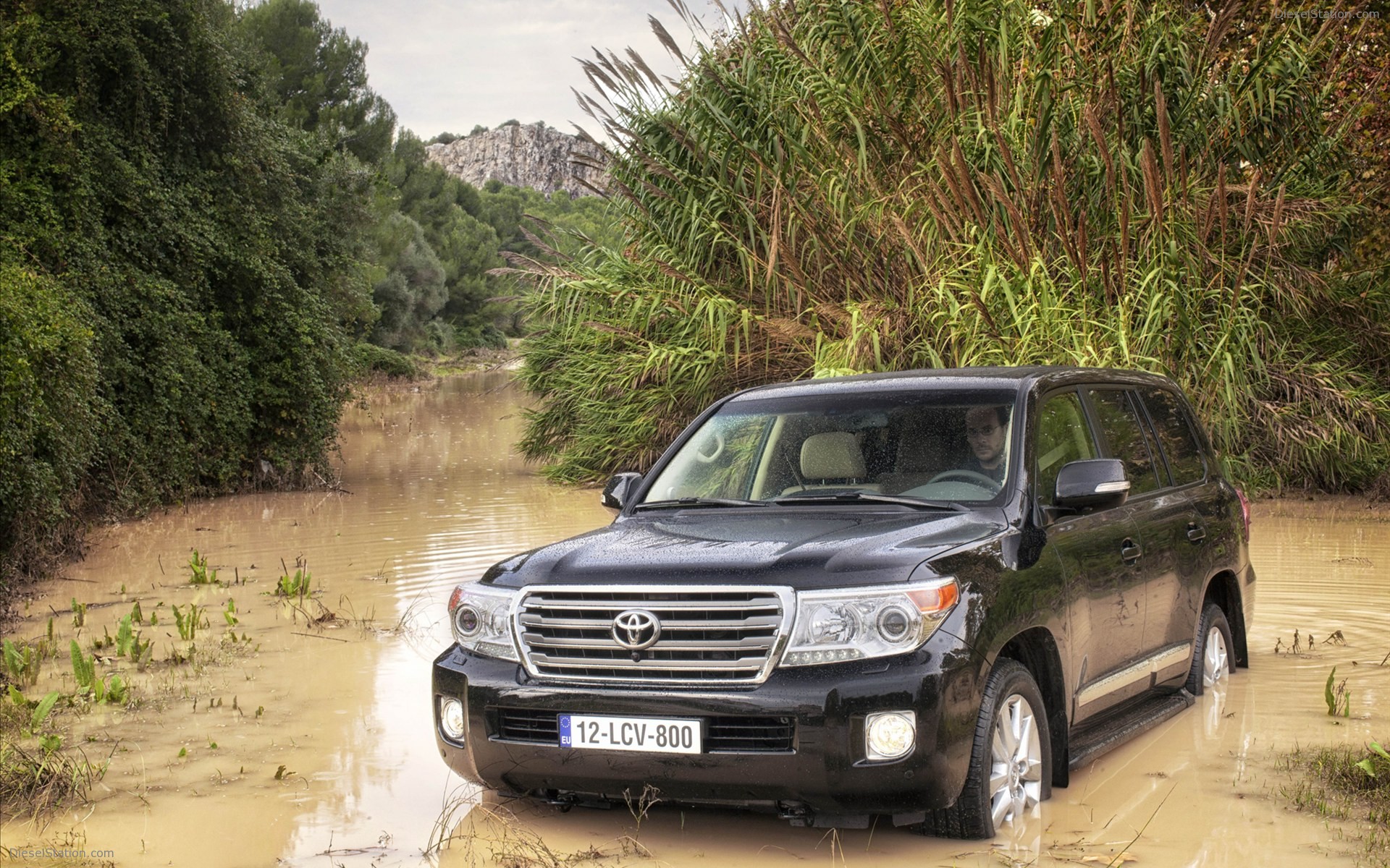Toyota Land Cruiser V8 2012