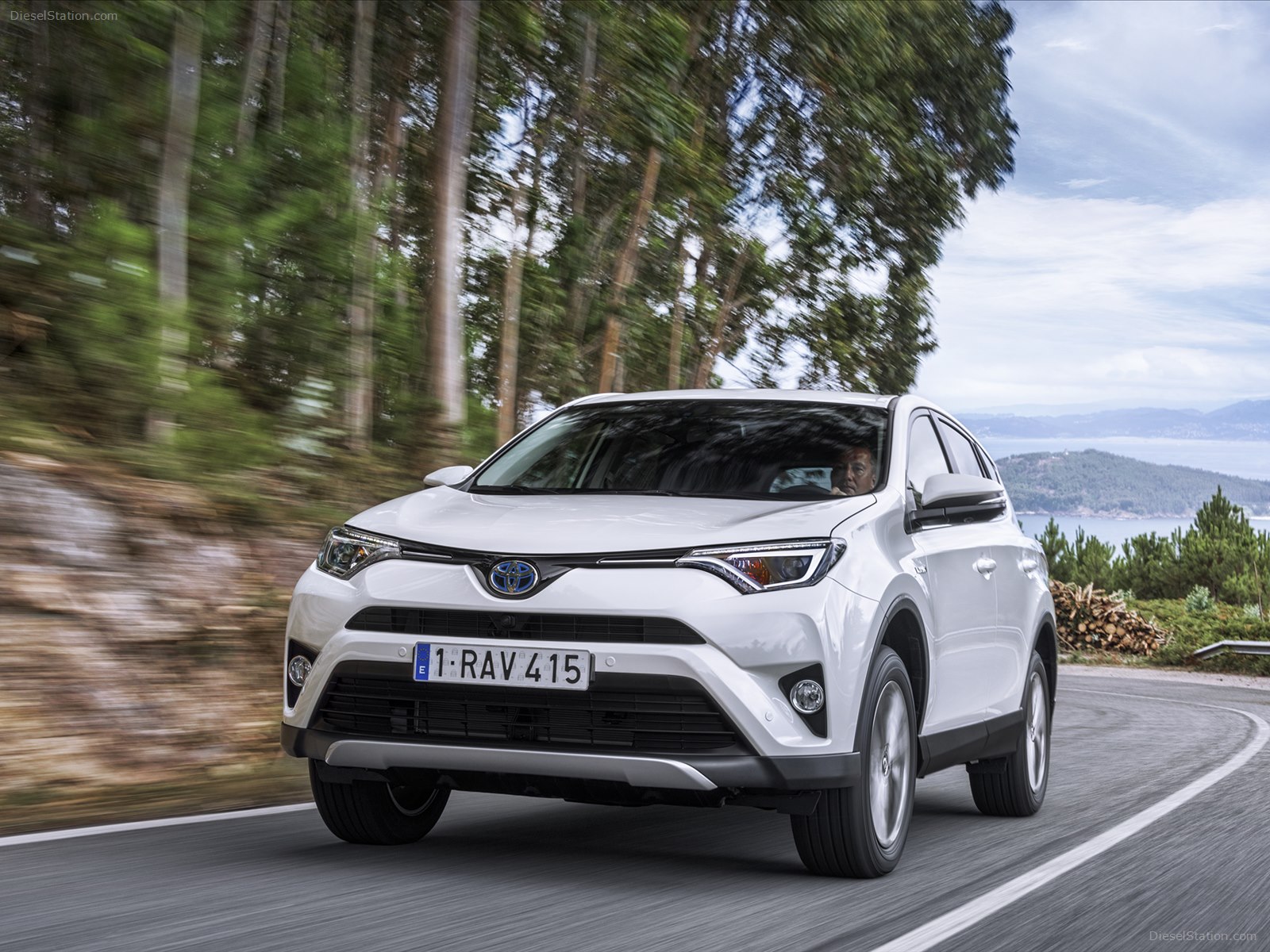 Toyota RAV4 Hybrid 2016