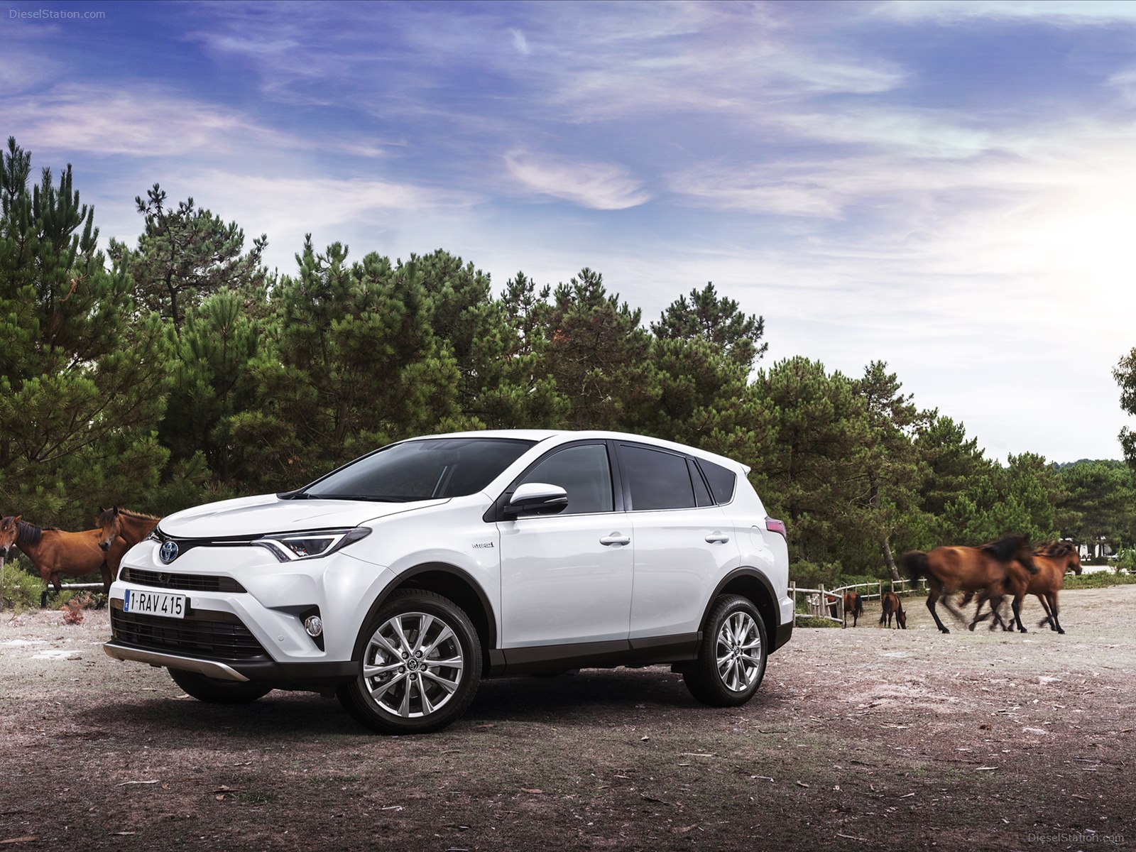 Toyota RAV4 Hybrid 2016