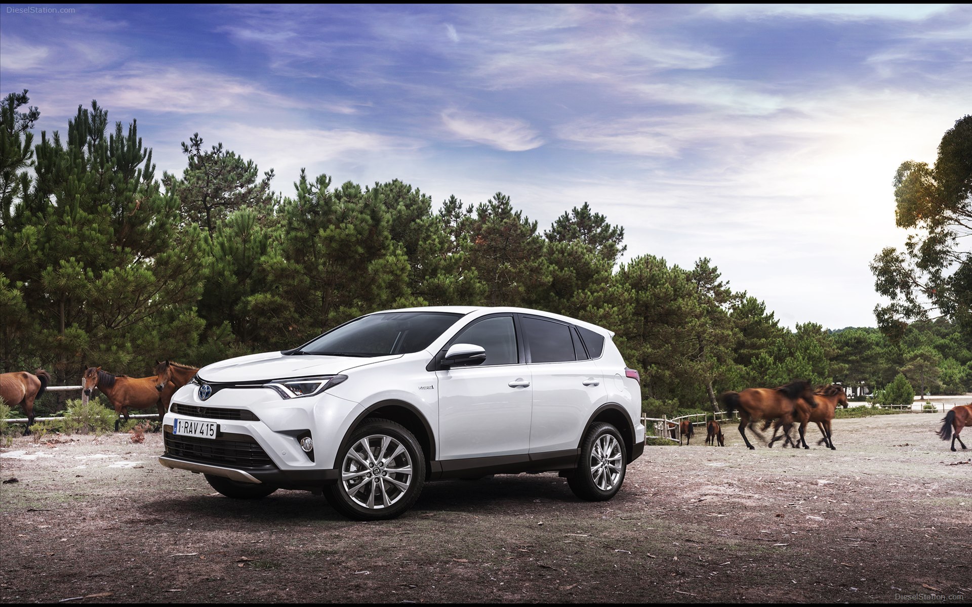 Toyota RAV4 Hybrid 2016