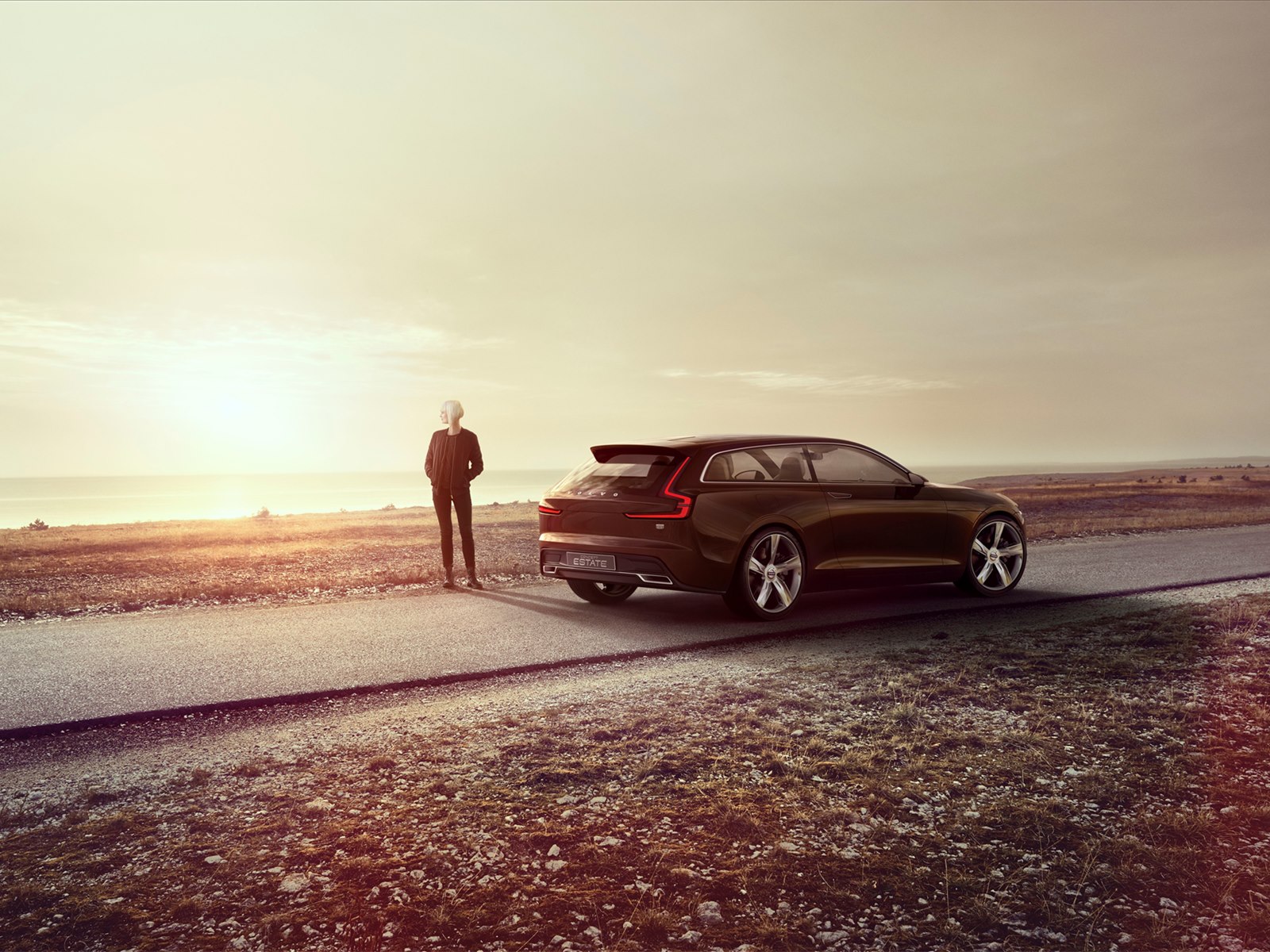 Volvo Estate Concept 2014