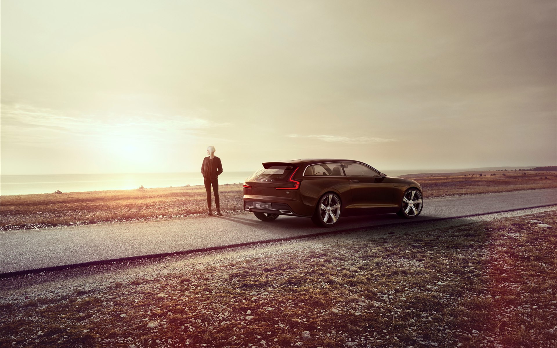 Volvo Estate Concept 2014