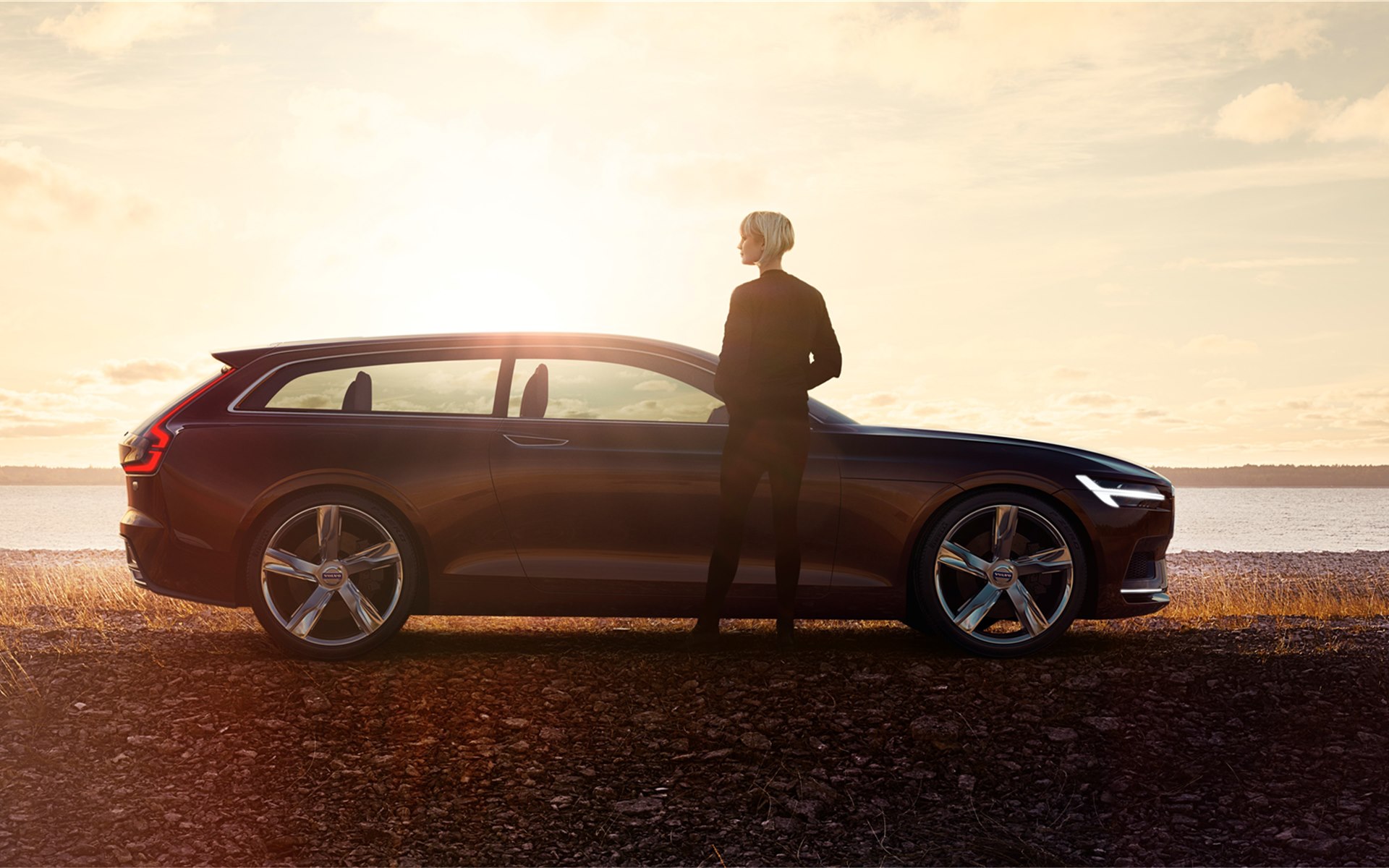 Volvo Estate Concept 2014