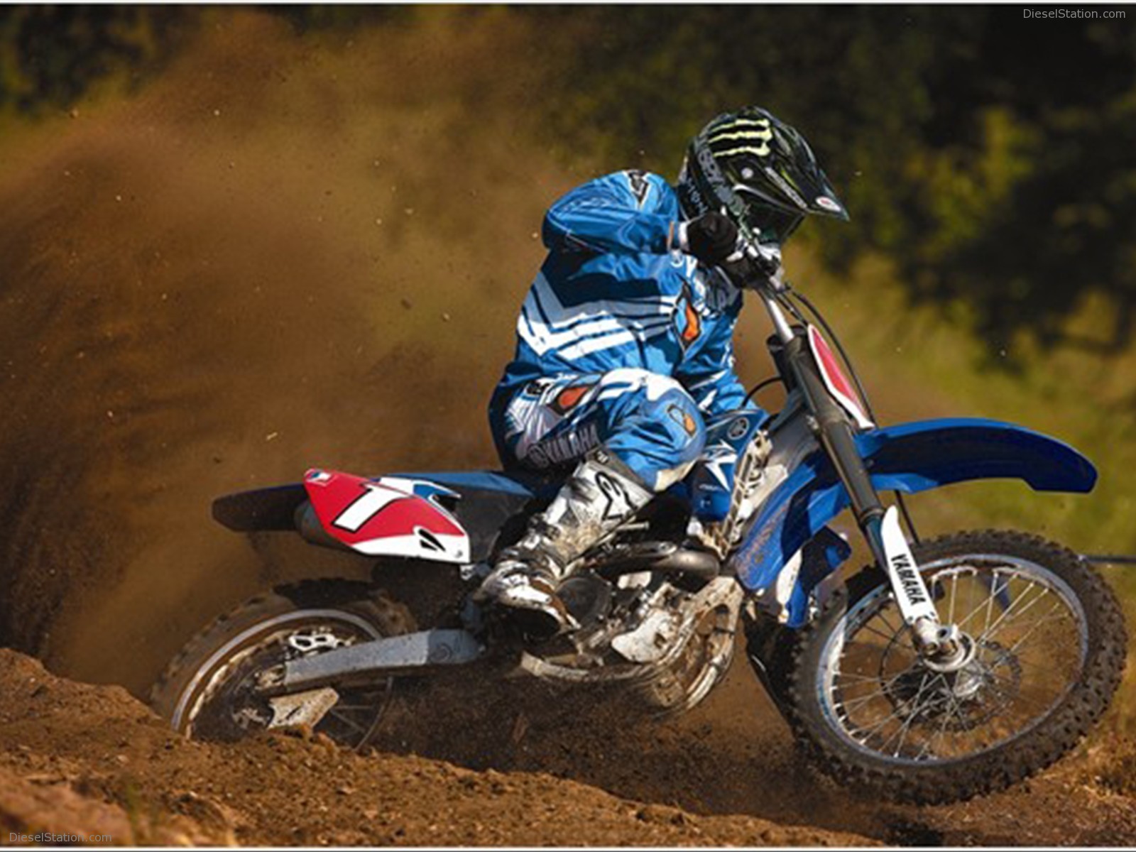 2009 YAMAHA YZ450F