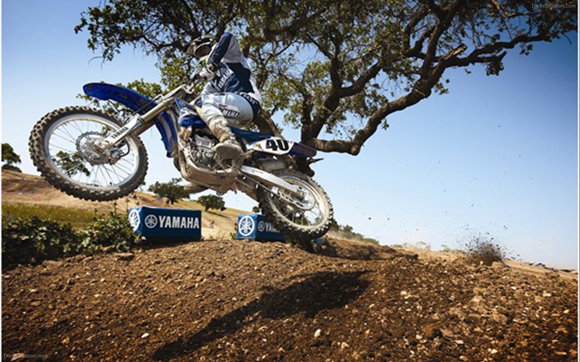 2009 YAMAHA YZ450F