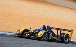 2008 ALMS Petit Le Mans Pictures