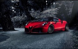 Pogea Racing Alfa Romeo 4C 2013