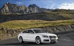 2011 Audi S5 Sportback