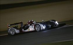 Audi R15 TDI Petit Le Mans Race