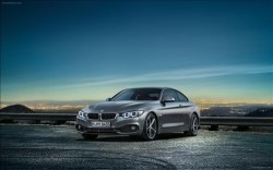 BMW 4 Series Coupe 2014