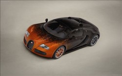 Bugatti Veyron Grand Sport Bernar Venet 2012