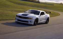 cars cars