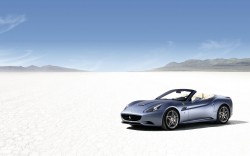 Exotic Cars