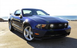 Mostang Mostang