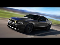 Mustang Mustang
