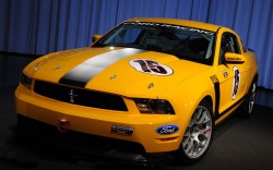 mustang mustang