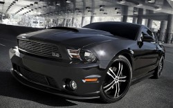 stang stang