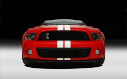 Ford Shelby 2011 Ford Shelby 2011
