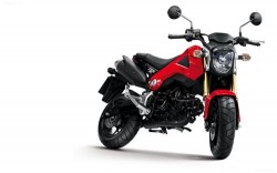 Honda MSX125 2013