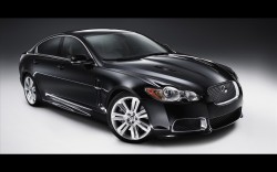 Jaguar Jaguar