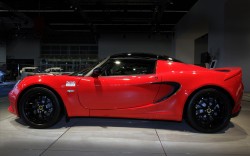 lotus lotus