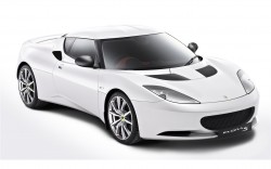 lotus lotus