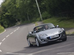 cars cars