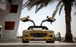 Mercedes Benz SLS AMG Desert Gold 2010