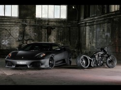 Exotics Exotics
