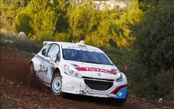 Peugeot 208 Type R5 2012