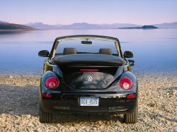 New Beetle Conv New Beetle Conv