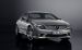 AMG 2010 Mercedes Benz S Class Sports Package Widescreen Picture #7