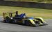 Acura ALMS 2008 Widescreen Picture #17