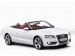 Audi 2010 A5 Cabriolet Picture #22