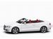 Audi 2010 A5 Cabriolet Picture #23